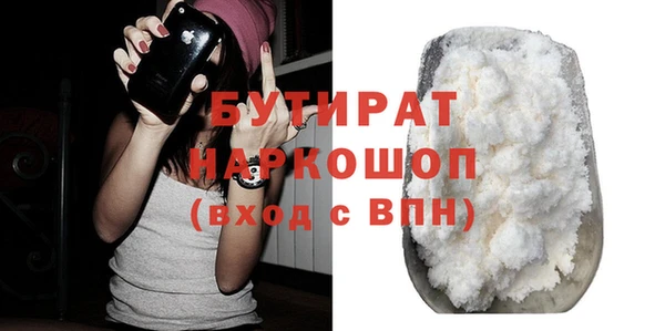 шишки Надым