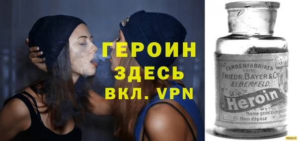 шишки Надым