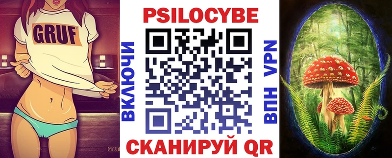 Галлюциногенные грибы Psilocybe  Купить  Тула